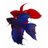 rybajago's profile image