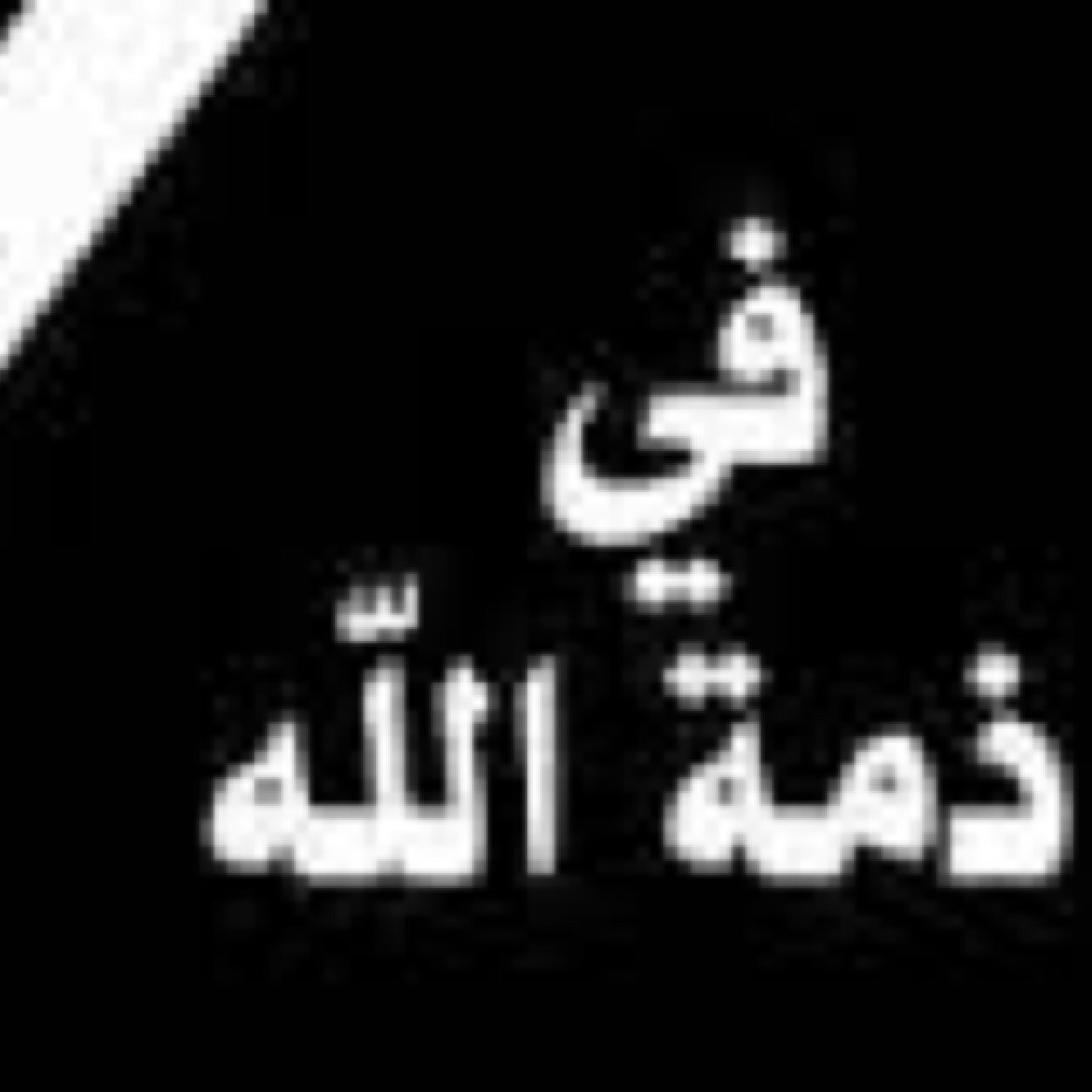 اللهم إنها صبرت على البلاء فلم تجزع فامنحها درجة الصابرين الذين يُوفون أجورهم بغير حساب فإنك القائل:إنما يُوفى الصابرون أجرهم بغير حساب. اللهم اغفرلها وارحمها