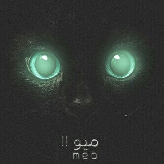 الكتوه •_•