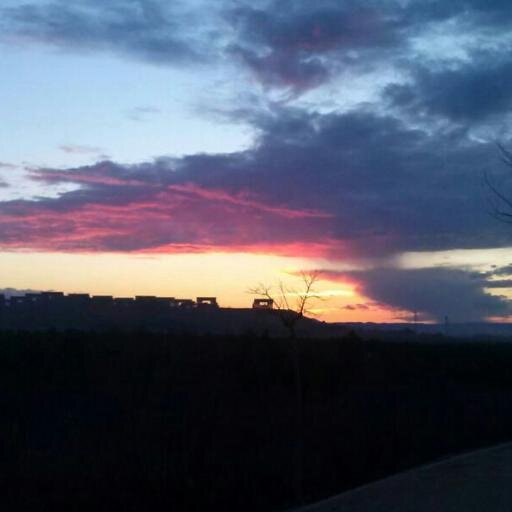 CarmenLzaro's profile picture. 