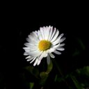 Fernando Sada Neira - @fsada64 - Twitter