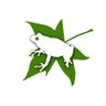 herpetofauna's profile picture. Herpetofauna of Greece. A website about all Reptiles and Amphibians of Greece including: Photos, Media, Info, Mythbusting, Protection Law and other.