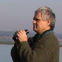 Ernst Retief (@efretief) 's Twitter Profile