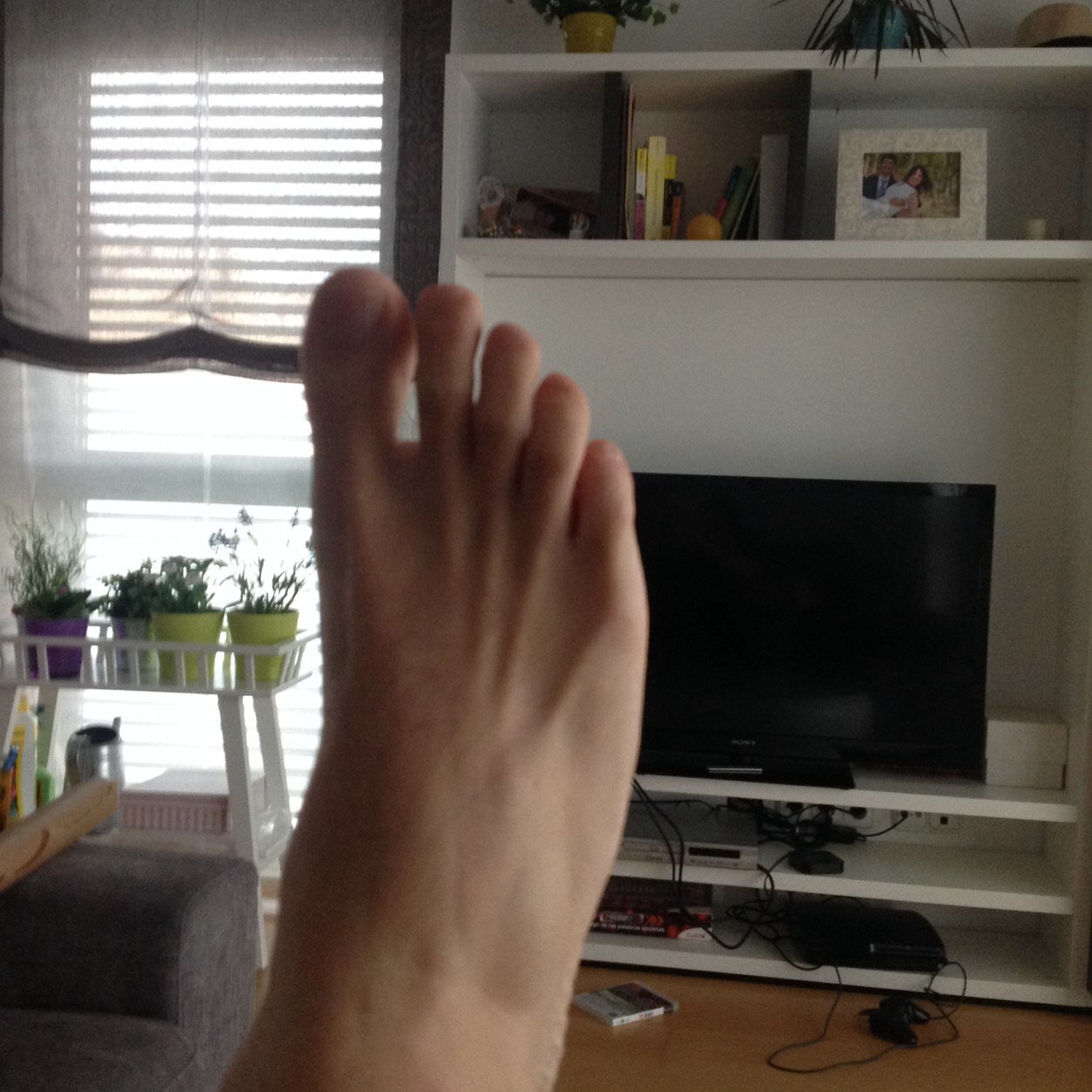 GuilleFranke's profile picture. 