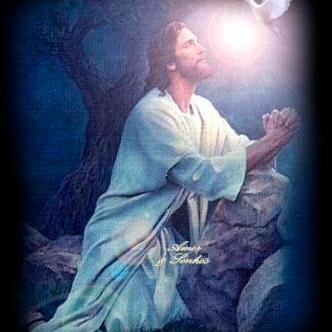 The Lord is my light and my salvation 
#ChristInMe