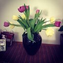 Yvette Gregory - @zumbapagegirl - Twitter