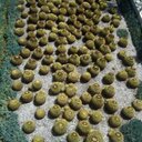 Natasha Silver - @unwillingelixir - Twitter