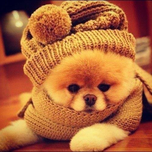 5623821's profile picture. 