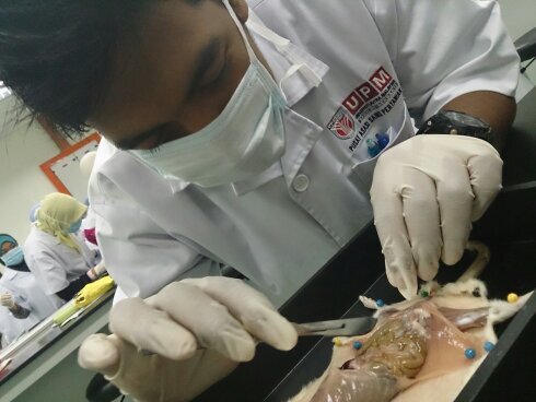 Setiap permulaan pasti ada pengakhiran..Setiap pertemuan pasti ada perpisahan..                            || ex-SMKSN || ex-Asperian UPM ||