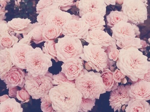 Young girls need to learn that sexiness isn't about being naked. - Marc Jacobs