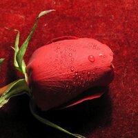 عبووود (@1000_hdd) 's Twitter Profile