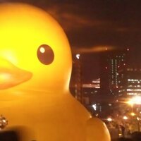 すてるすもも (@momo__cc) 's Twitter Profile