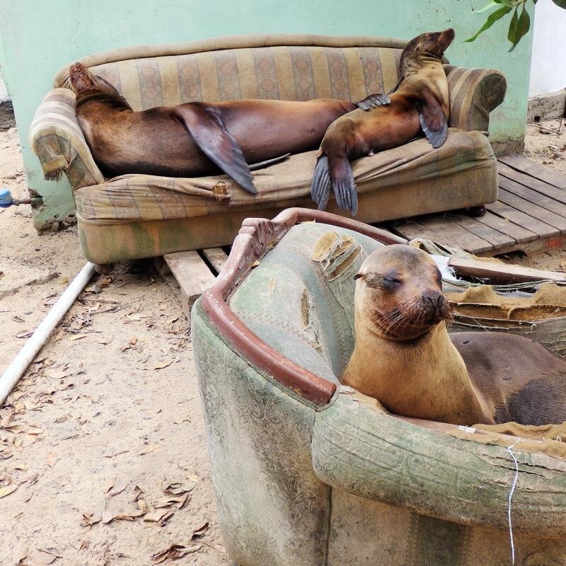 kris_calhoun's profile picture. I think I am funny. Left handed vegetarian. Freelance writer of stuff. I like dogs more than people.