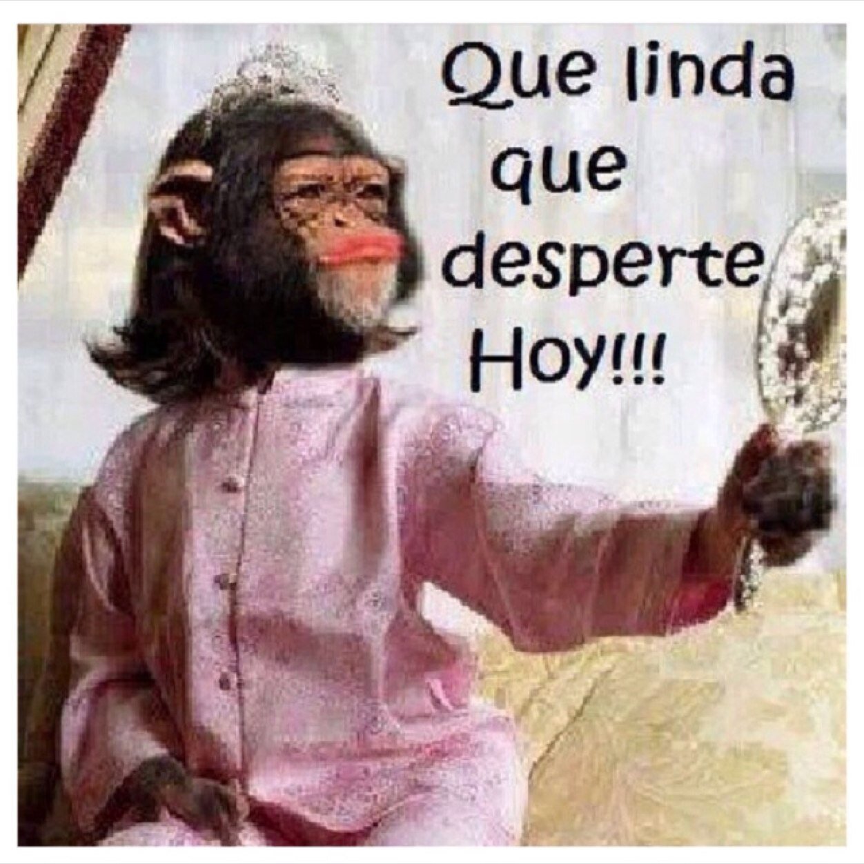 Americabell's profile picture. I AM WHO I AM Española 🇪🇸 nacida en Venezuela 🇻🇪