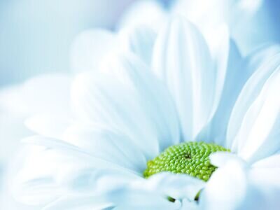 ‏‏‏‏؛ لاتعلقوا امالكم الا بالله؛
 واستجبروه حين ينتابكم مايؤلمكم ...
فهو الجبار سبحانه💓             
معلمة قران وكفى!

Ins: Laila_nahdi
