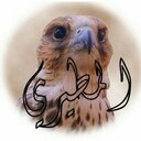 ماجد المسموي (@576d7e916509477) Twitter