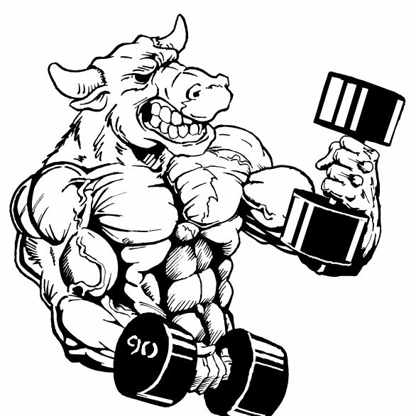 Strength training and Bodybuilding: Articles, Motivation, Products etc.