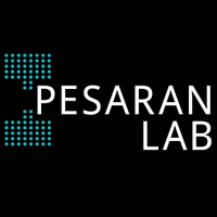Pesaran Lab (@pesaranlab) 's Twitter Profile