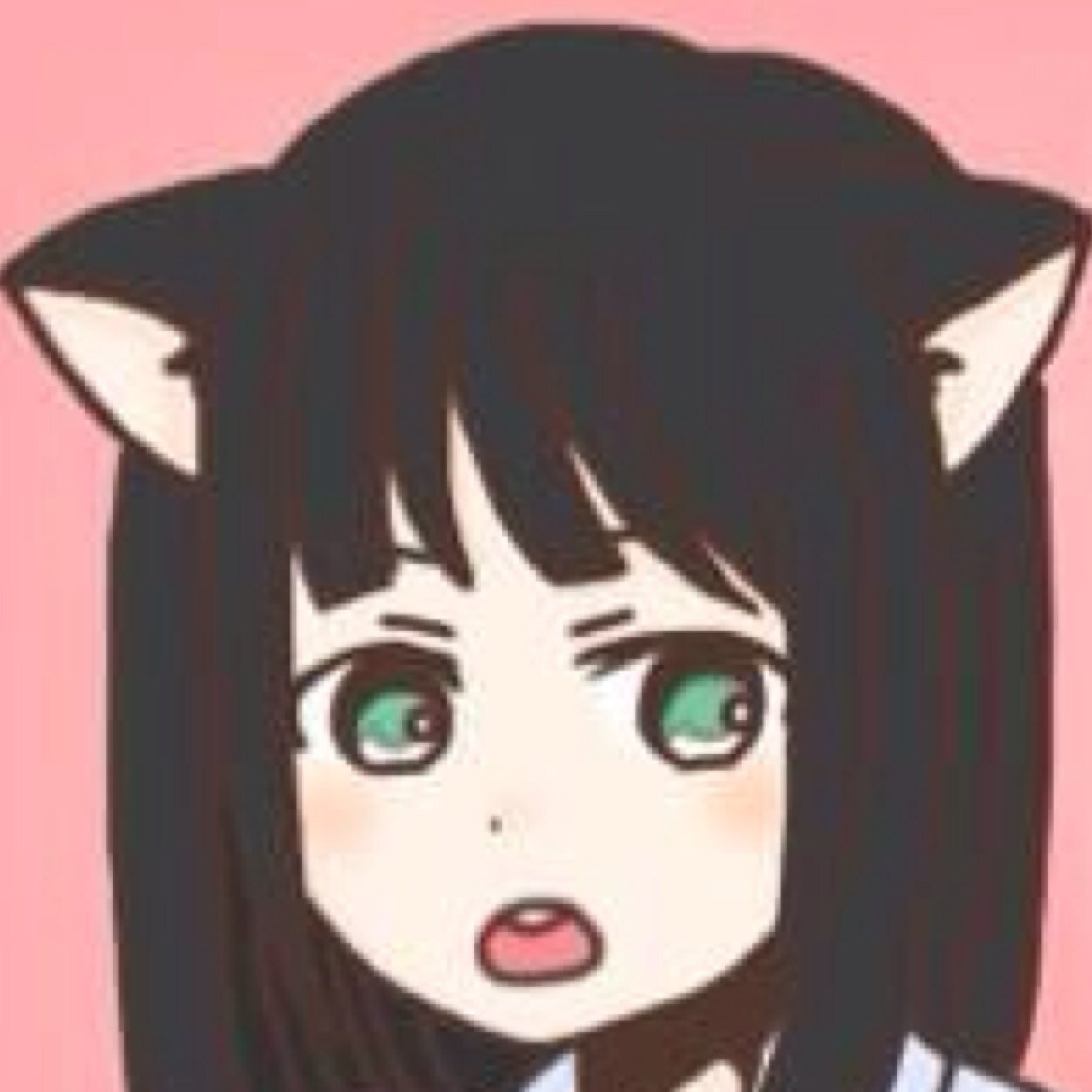 せにゃさんのプロフィール画像