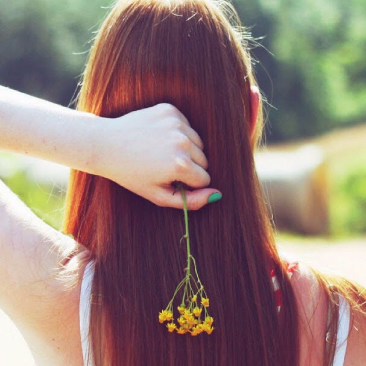 Yositachockd's profile picture. 