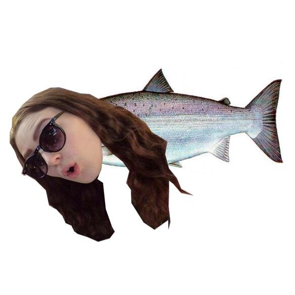 tjolax Profile Picture