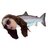 tjolax's profile image