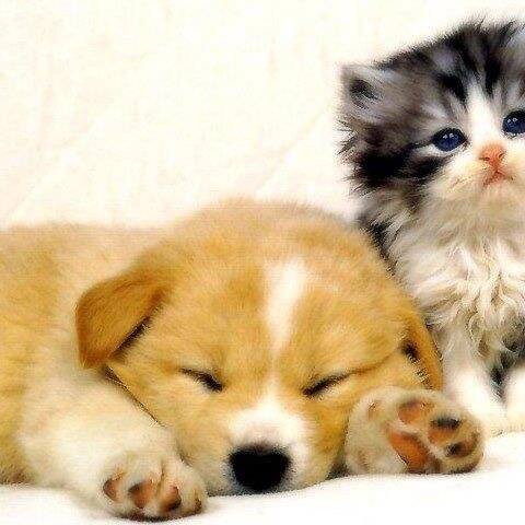 GabrielsSarah's profile picture. 