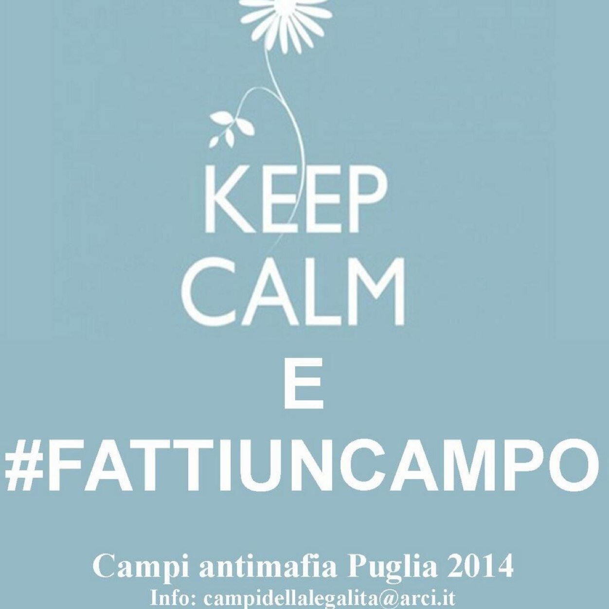 Alberto1981x's profile picture. 