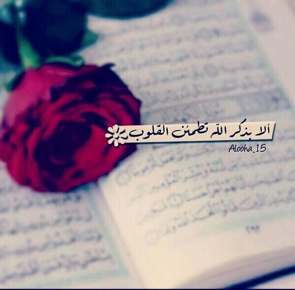 استغفر الله العظيم رب العرش الكريم