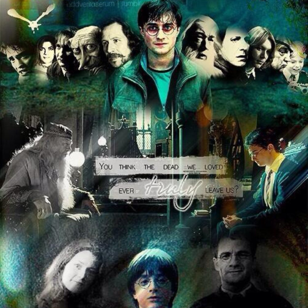 Free follow from @accio_lover because you're amazing