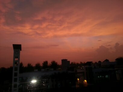 waynerooney3621's profile picture. 