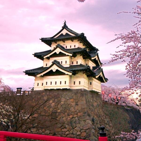 NipponMeryem's profile picture. 