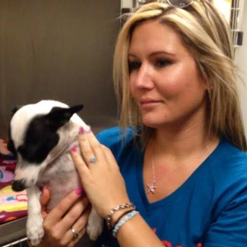 KristenSarmient's profile picture. Quality. Professional. Affordable. Onsite or Remote Creative and Administrative VIP Level Support for your Business. Founder of Paws to Heart Rescue Inc.