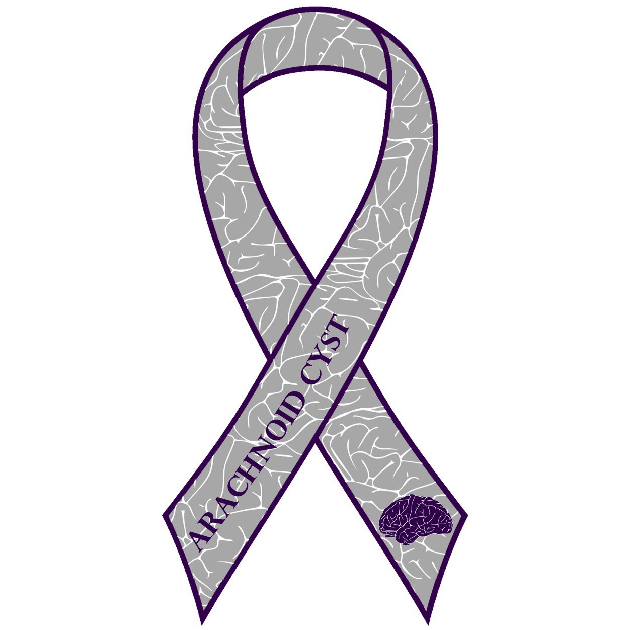 501(c)3 bringing awareness, support & continuing research to the medical community & families w/an #ArachnoidCyst dx. https://t.co/t3U89aIePu