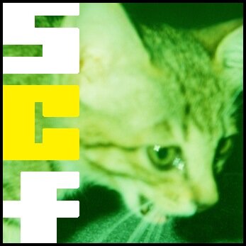 stray c@ts feve…yukiさんのプロフィール画像