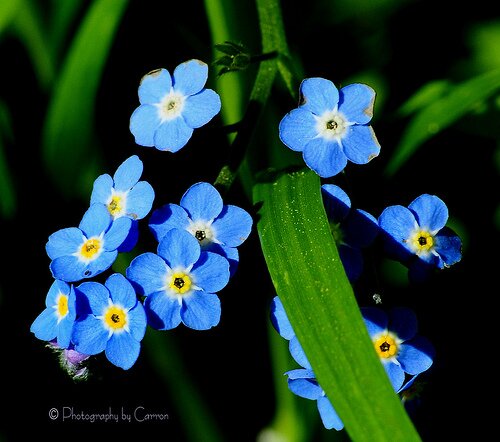 knguyen0405's profile picture. 