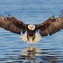 النسر المصرى (@0553695140) Twitter