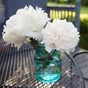 Gina Cavalieri - @GC1019 - Twitter