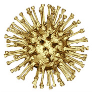 live_h1n1's profile picture. Swine Flu (H1N1) informations