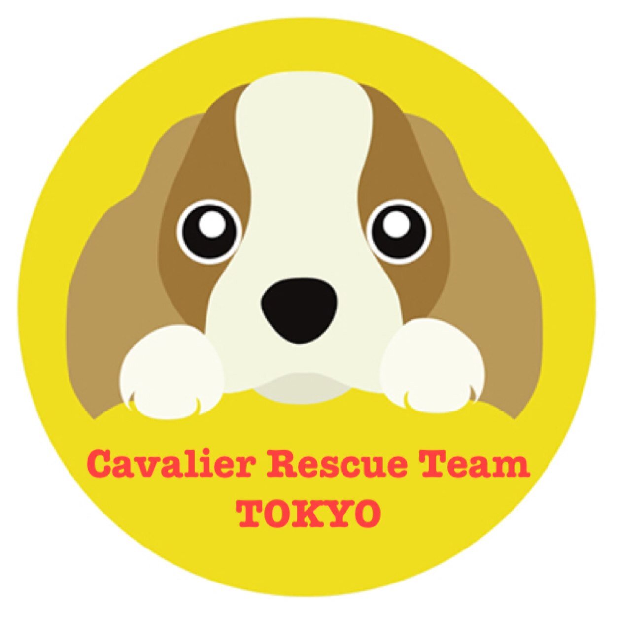 Cavalier Rescueさんのイラスト一覧