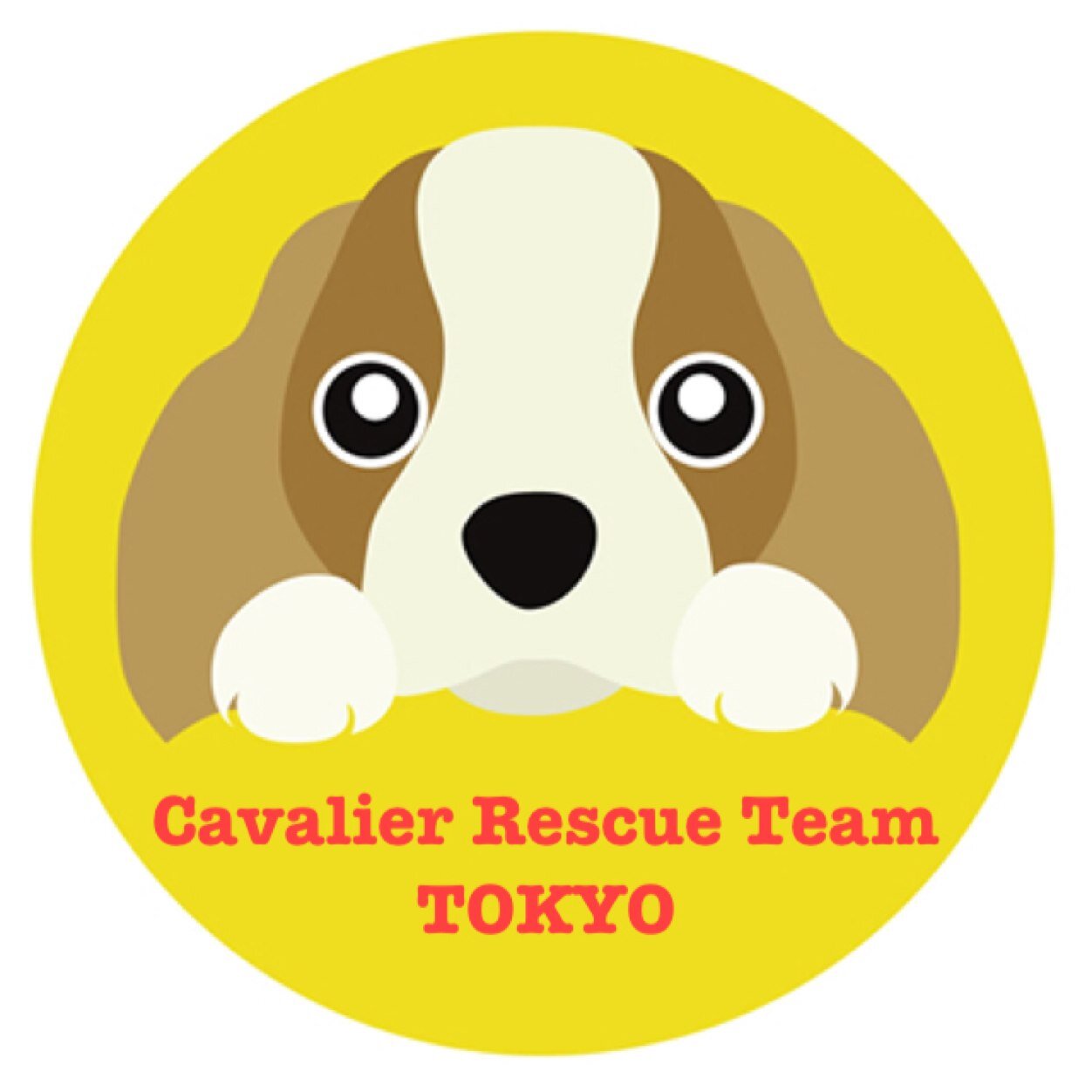 cavalier_rescue Profile Picture