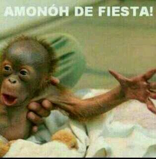 gebrukyt's profile picture. Youtuber & Gamer||Minecraft, Terror Games y demás||Puedes encontrarme por Skype: gebrukyt || Subiendo video diario desde el 06/04/13