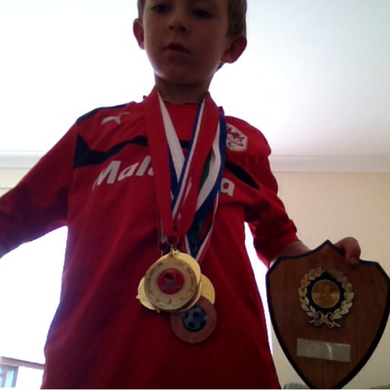 74lurees's profile picture. 