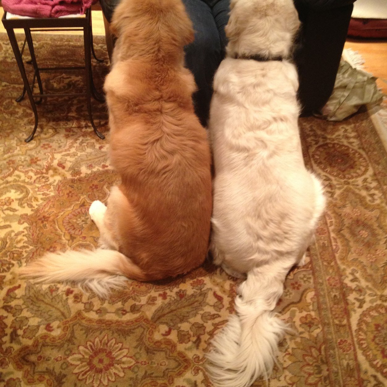 brijenmom's profile picture. 