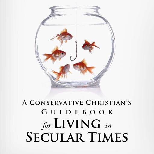 ReluctantUser2's profile picture. Former Newsmax Columnist, speaker. URL https://t.co/O44GimrMpU My latest book (photo above) on sale for only $3.99  https://t.co/wYyDIDf47J