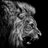 Vesper_13's profile image