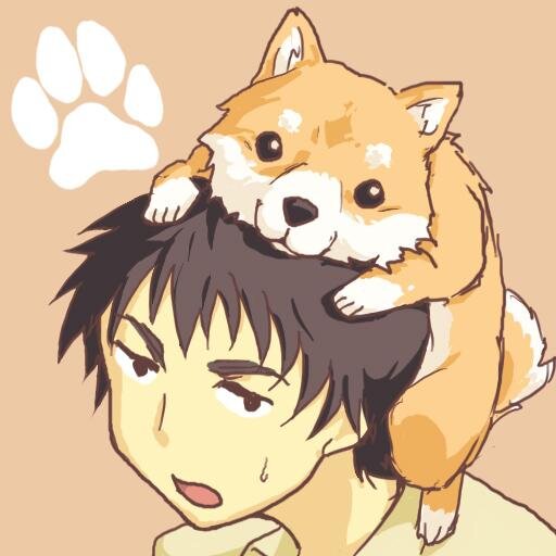 犬追物だいやさんのプロフィール画像