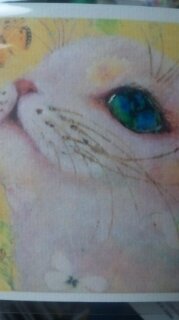プロフィールの写真は　福嶋吾然有さん、　    ヘッダーの写真は　礒野昭子さんの作品です。
無言フォロー失礼します。
昆虫・両爬・菌類RT多めです。あぶないにげて。