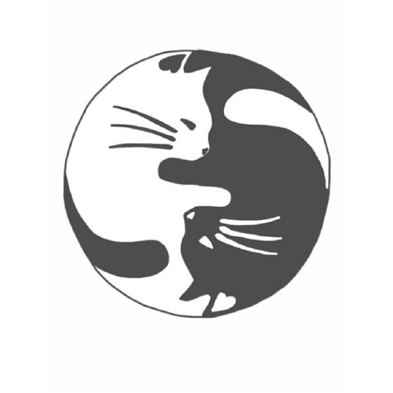 GrandeSmile234's profile picture. Free follow from @Pizzaftbutera