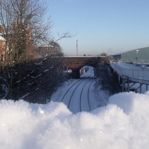 chicot's profile picture. 